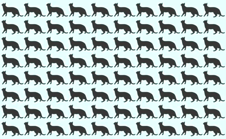 Deneyenlerin yüzde 98'i bulamıyor! Resimdeki farklı siyah kediyi 6 saniyede ayırt etmek için 130 IQ gerekiyor - Resim : 1